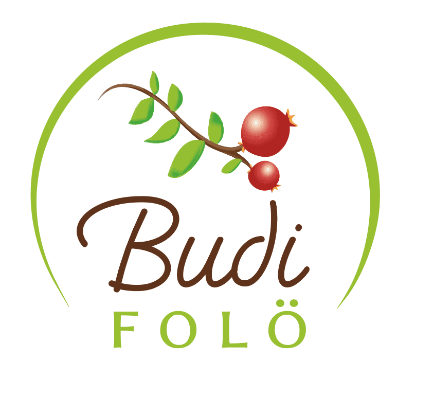 Granja Budi